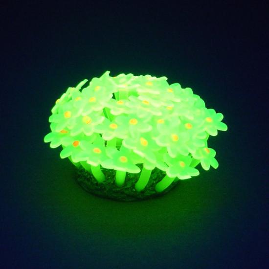 ������������� ������� ��� ���������