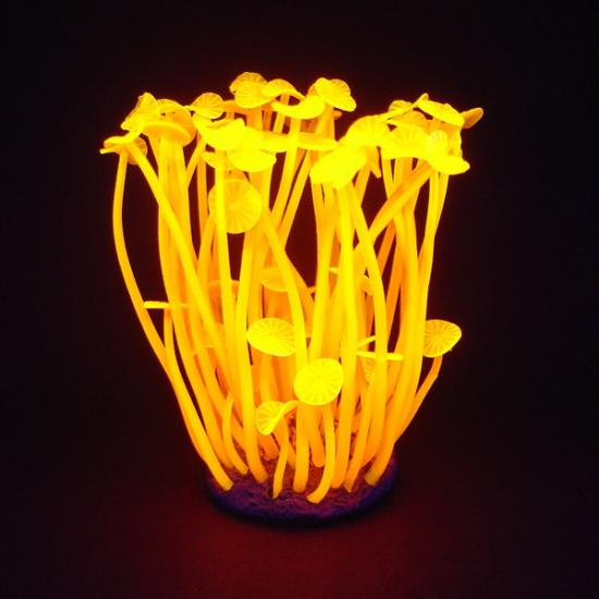 ������������� ������� ��� ���������