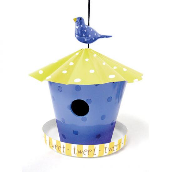 ����� ������ ��� ����