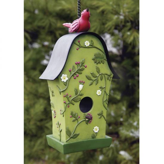 ����� ������ ��� ����