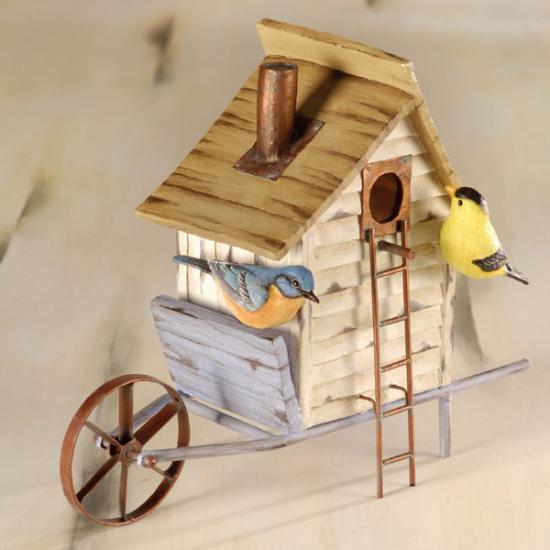 ����� ������ ��� ����