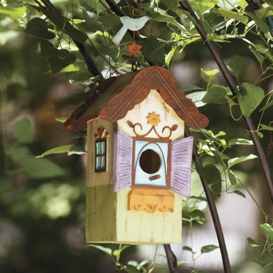 ����� ������ ��� ����