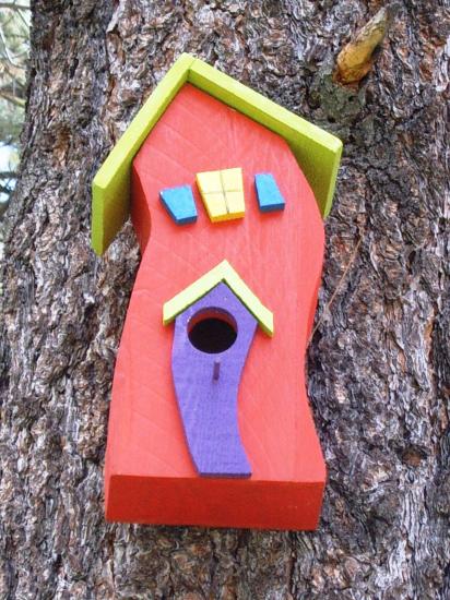 ����� ������ ��� ����