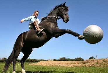 ������ ��� ������