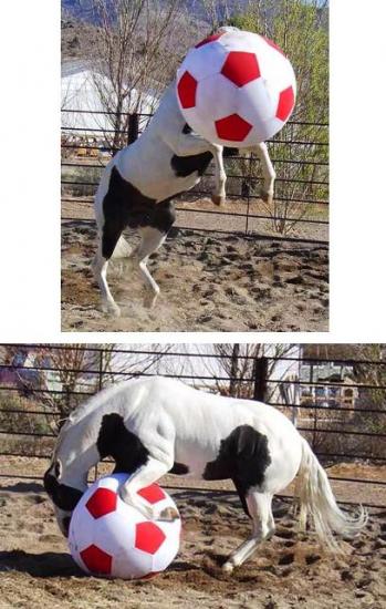 ������ ��� ������