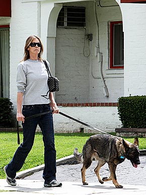 ������ ���������: �� �������, ������ � �������.