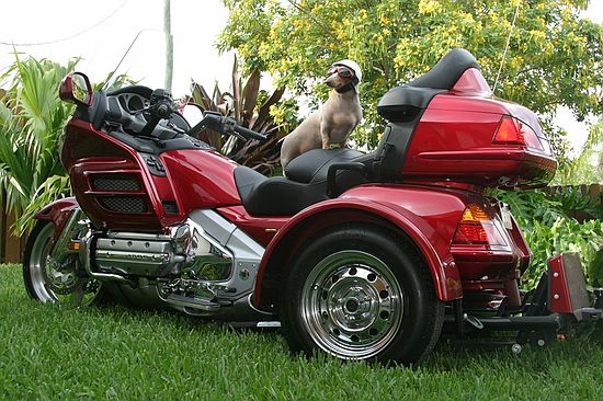 ���� ��� �������� ��������