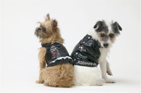 ���������� ���� ��� �����