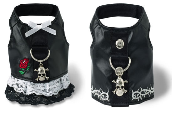 ���������� ���� ��� �����