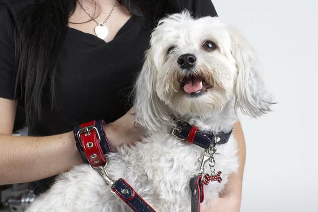 �����-��� ������� ��� �����