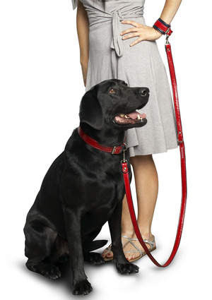 �����-��� ������� ��� �����