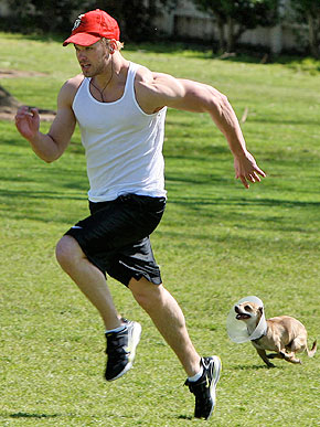 ������������ ���������� � �� �������� �������