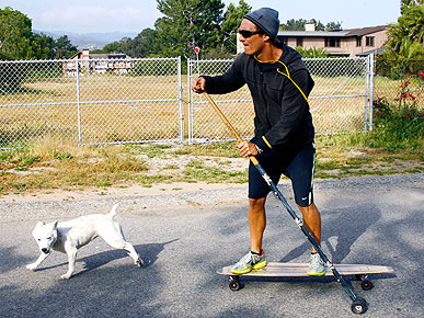 ������������ ���������� � �� �������� �������