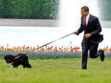 ������������ ���������� � �� �������� �������