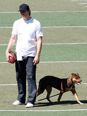 ������������ ���������� � �� �������� �������