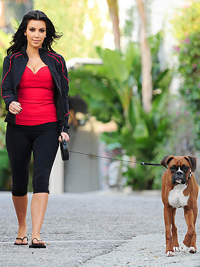 ������������ ���������� � �� �������� �������