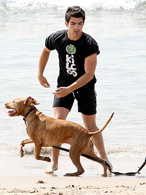 ������������ ���������� � �� �������� �������