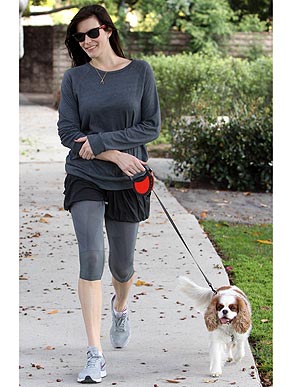 ������������ ���������� � �� �������� �������