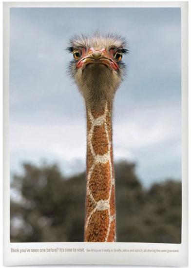 ������� � ������� ���������!