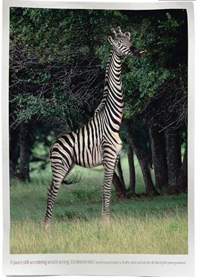 ������� � ������� ���������!