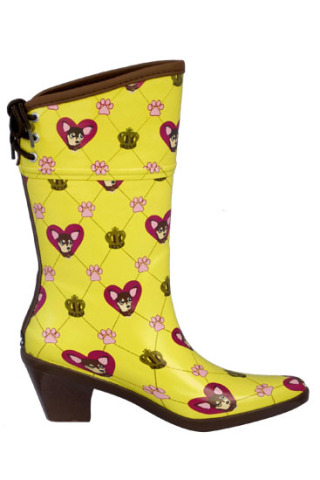 ��������� ����