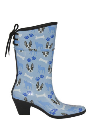 ��������� ����