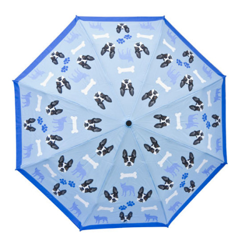 ��������� ����