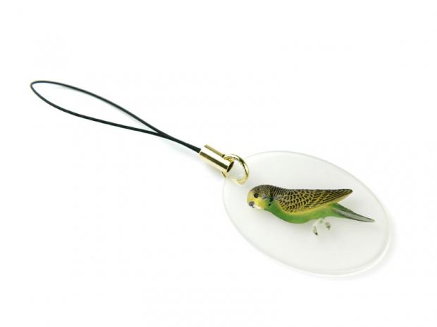 ������ �� �������