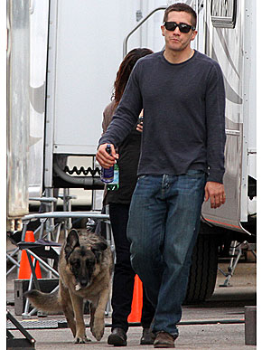 ������ � �� �������. �������� ���� ������