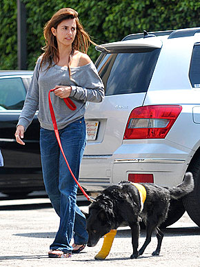 ������ � �� �������. �������� ���� ������