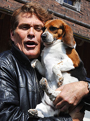 ������ � �� �������. �������� ���� ������