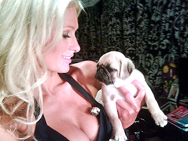 ����� ������� ����� ������