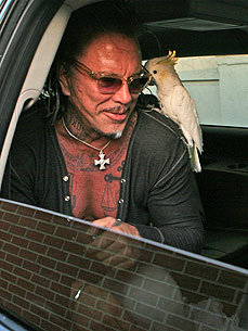 ����� ������ ����� �����