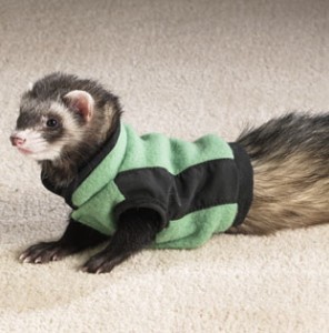 �������� ������ ��� �������