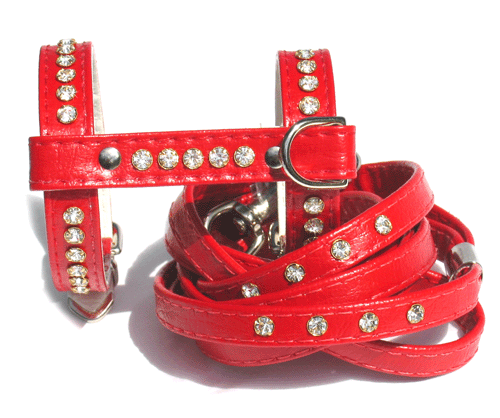 �������� ������ ��� �������