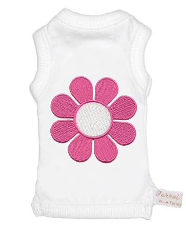 �������� ��� �������