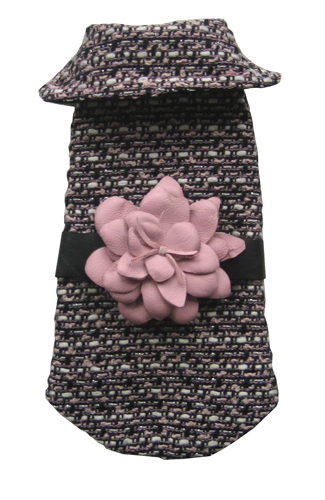 ������ ��� �������