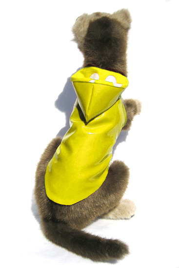 ������ ��� �������