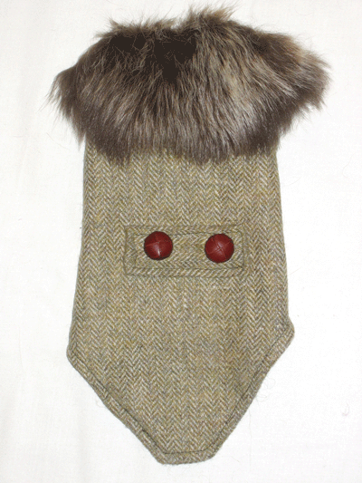 ������ ��� �������