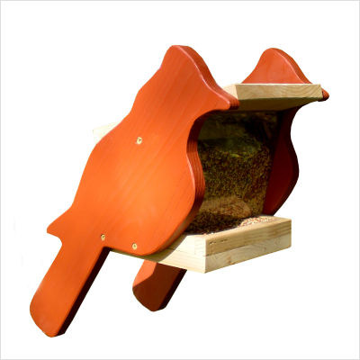 � ����� �����