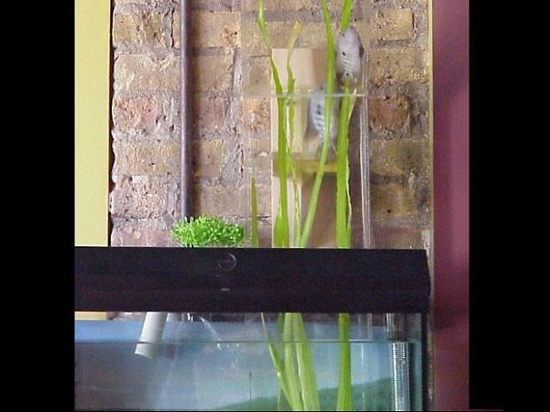 �������