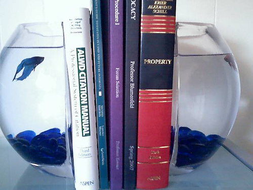 ����������� ���� ��� ����