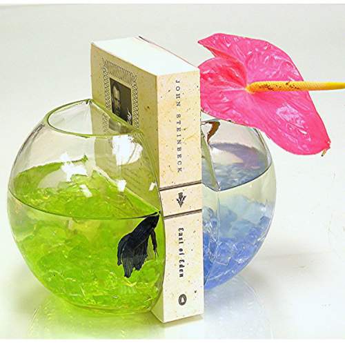 ����������� ���� ��� ����