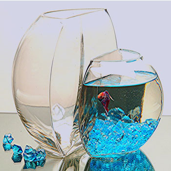 ����������� ���� ��� ����