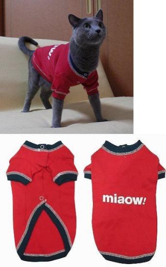 ������� ��� �����