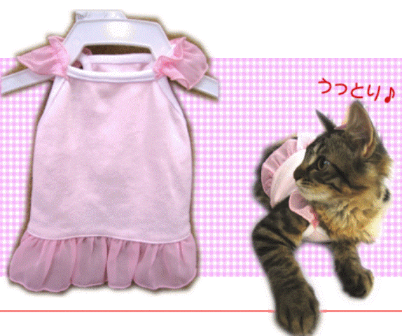 ������ ��� �����