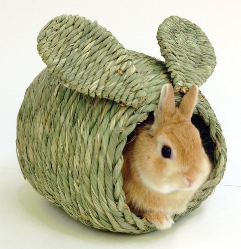 �������� ������ ��� ��������