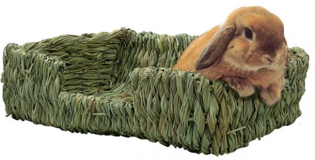 �������� ������ ��� ��������