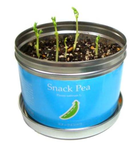 �������� ������ ��� �������