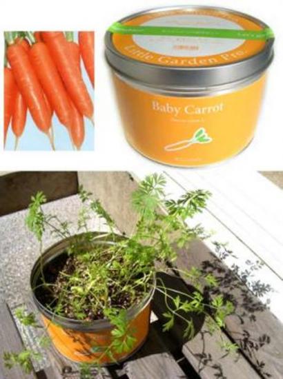 �������� ������ ��� �������